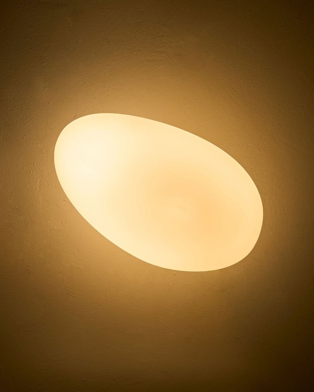 Organica Wall Sconce