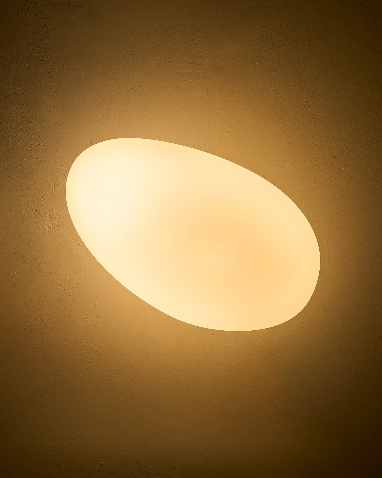 Organica Wall Sconce
