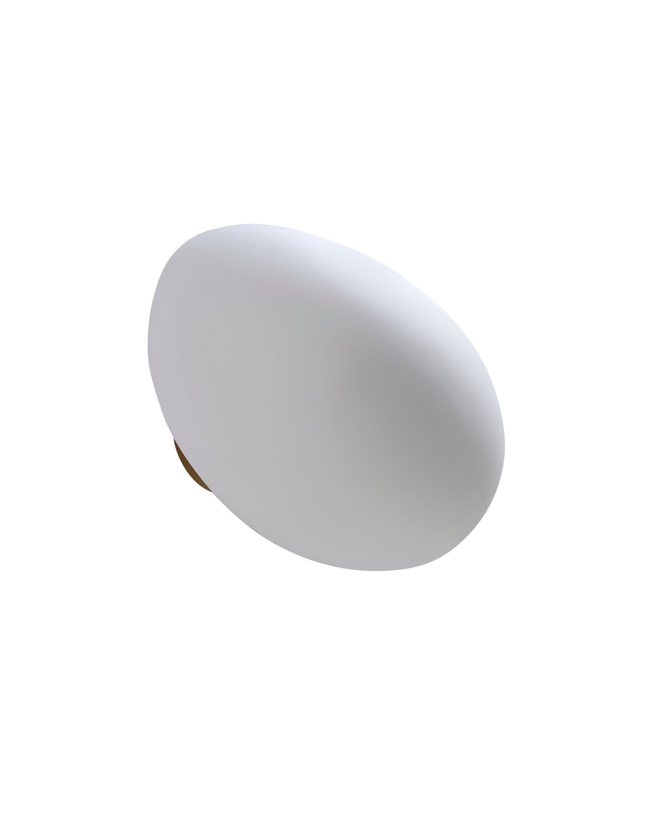 Organica Wall Sconce