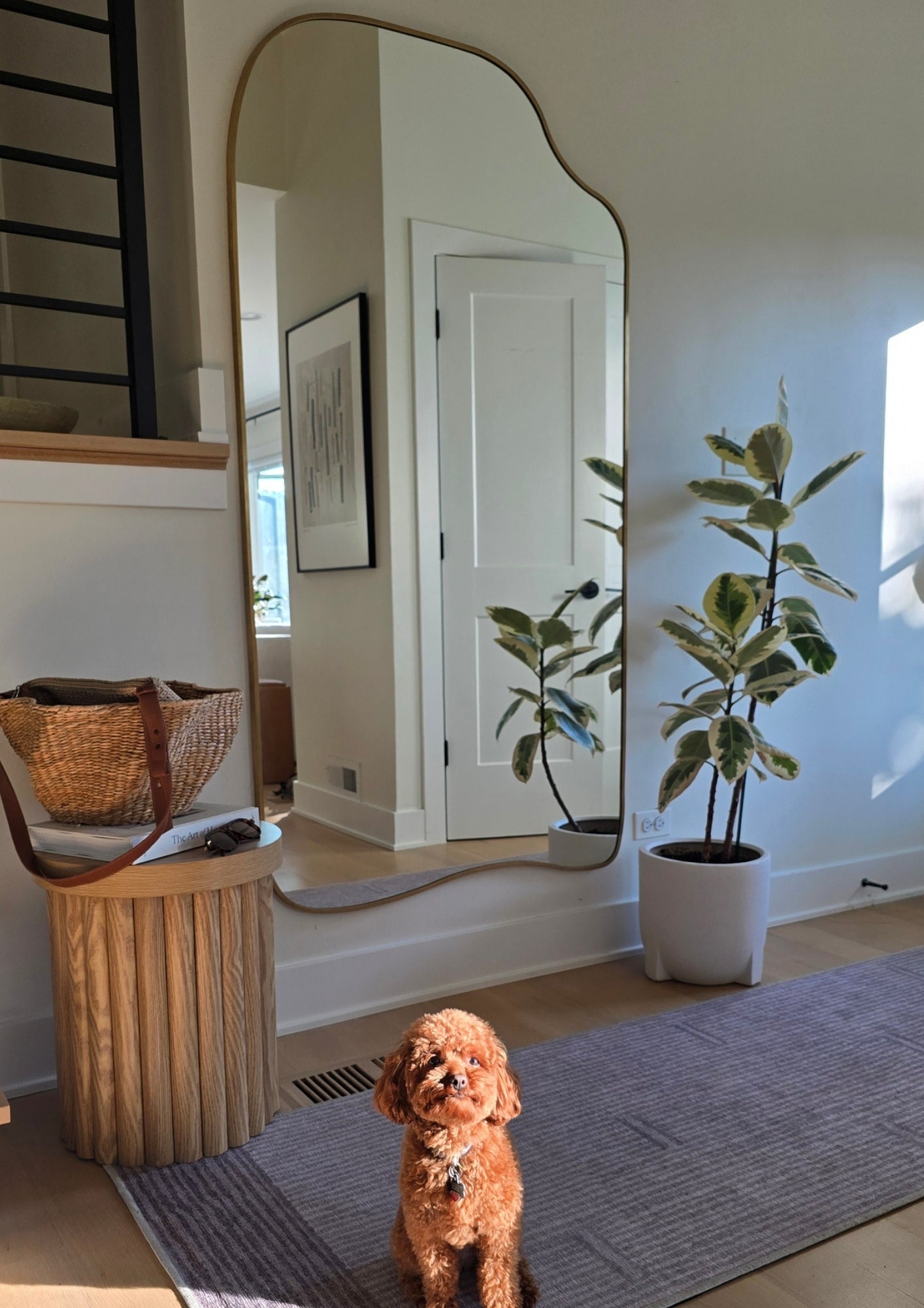 Organic-shaped full length mirror with brass frame, reflecting a bright interior with a plant, basket, and a small dog on a rug.