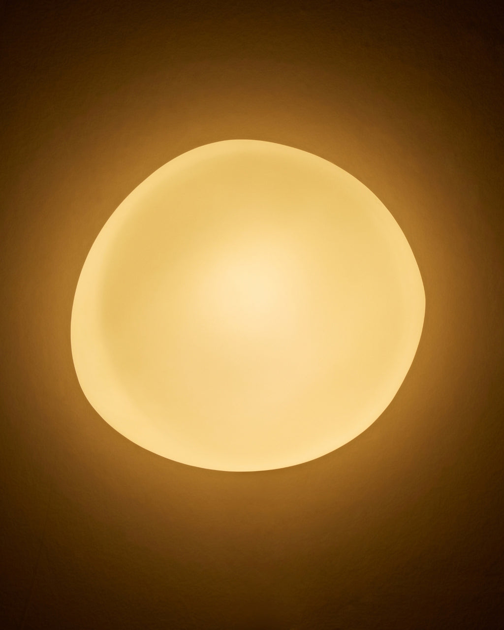 Organa Wall Sconce