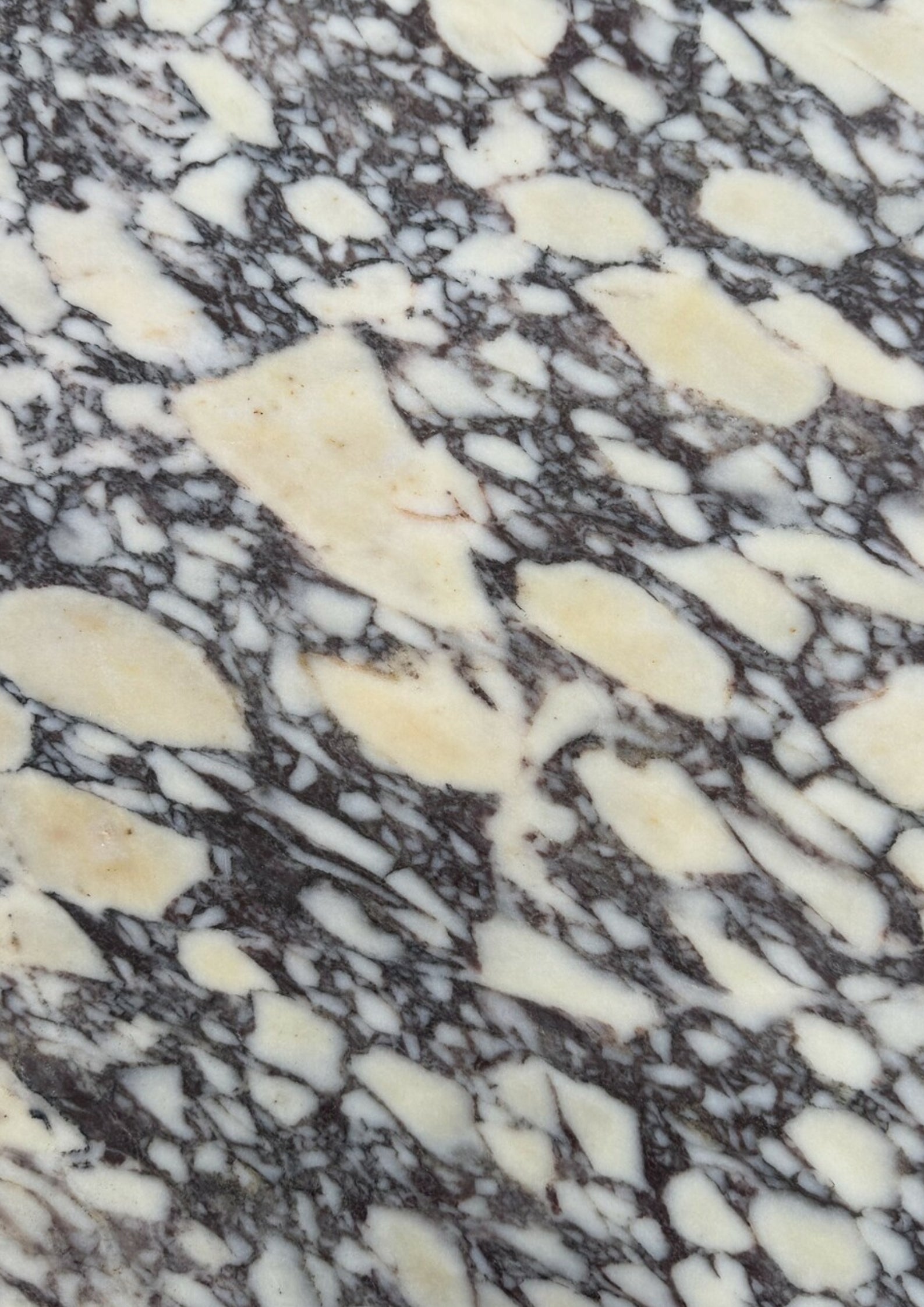 Close-up of natural marble with organic veining patterns.