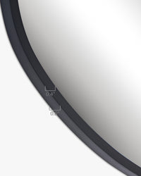 Silva Mirror